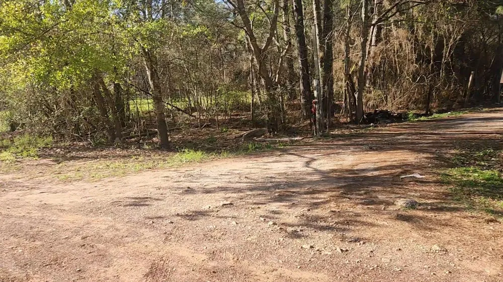 7 Sweetleaf Lane Plantersville, TX 77363