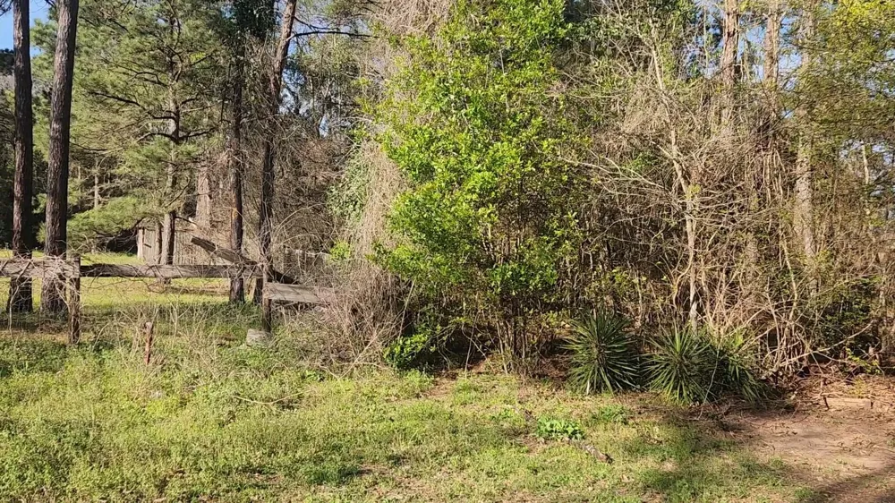 7 Sweetleaf Lane Plantersville, TX 77363