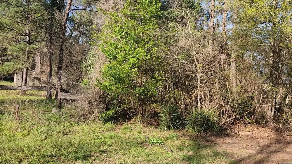 7 Sweetleaf Lane Plantersville, TX 77363