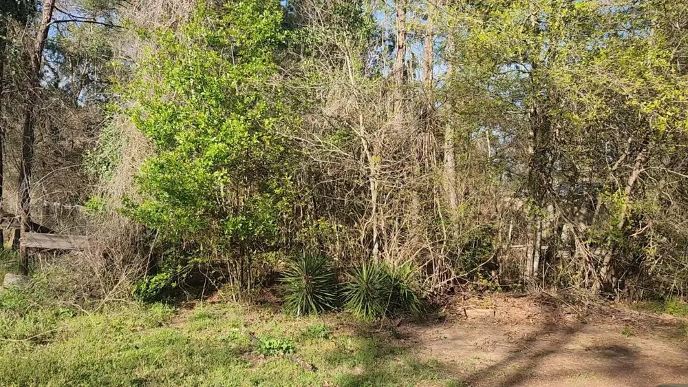 7 Sweetleaf Lane Plantersville, TX 77363