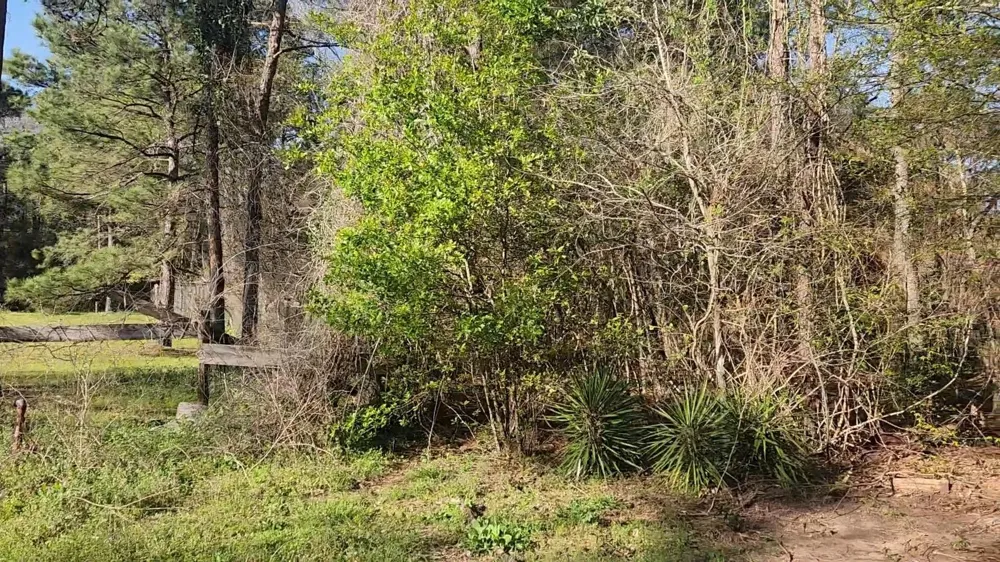 7 Sweetleaf Lane Plantersville, TX 77363