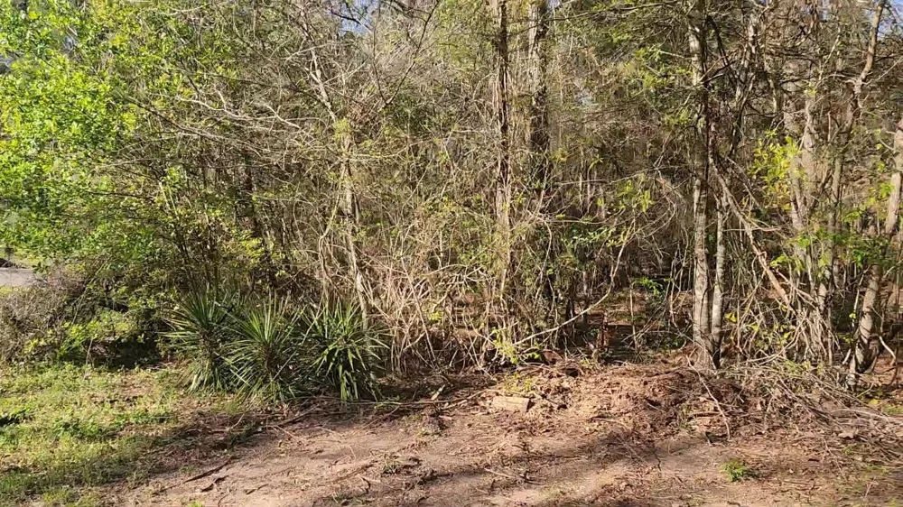7 Sweetleaf Lane Plantersville, TX 77363