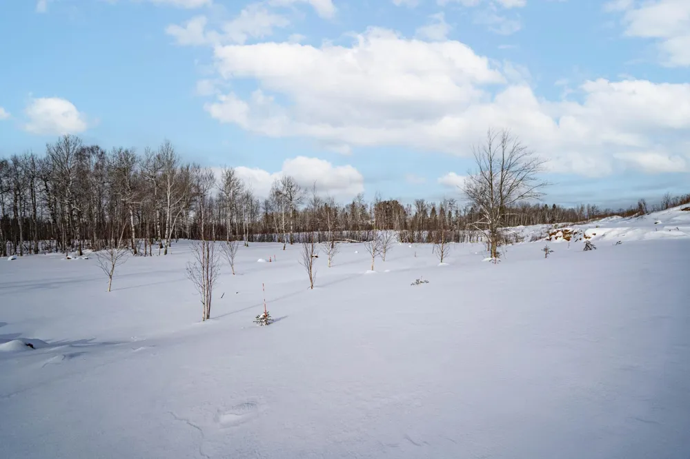 42xa Stebner Rd Hermantown, MN 55811