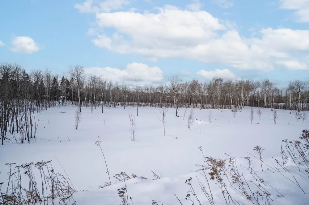 42xa Stebner Rd Hermantown, MN 55811