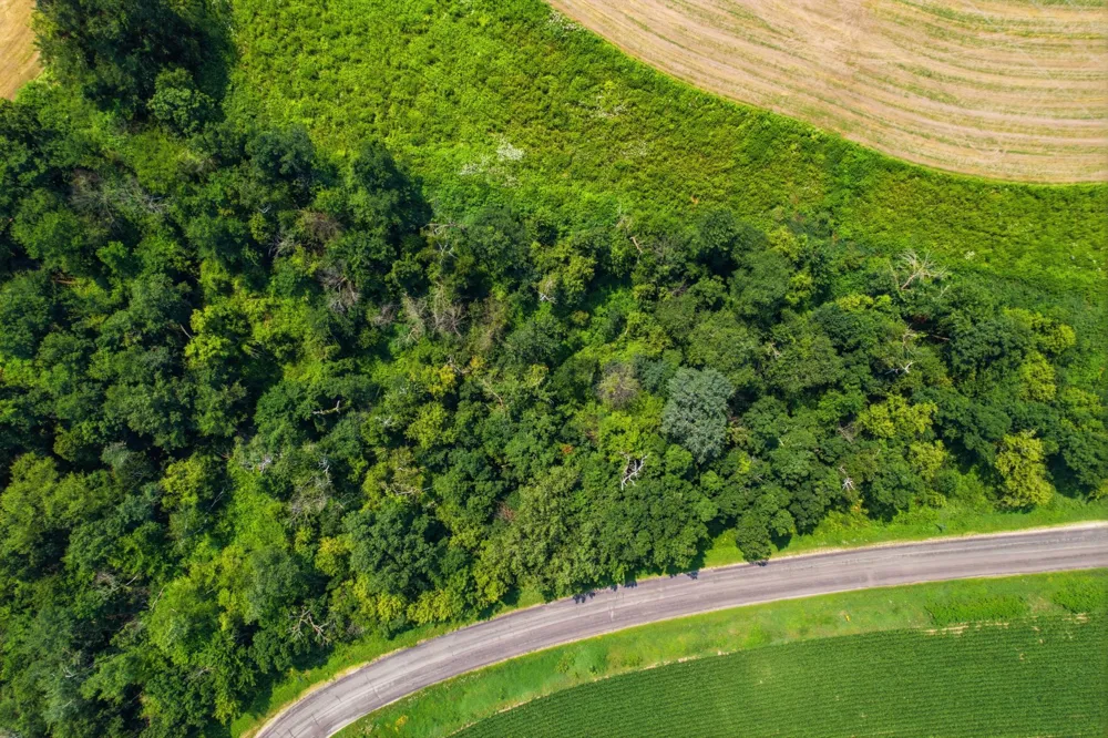 TBD County Road P Fountain City, WI 54629