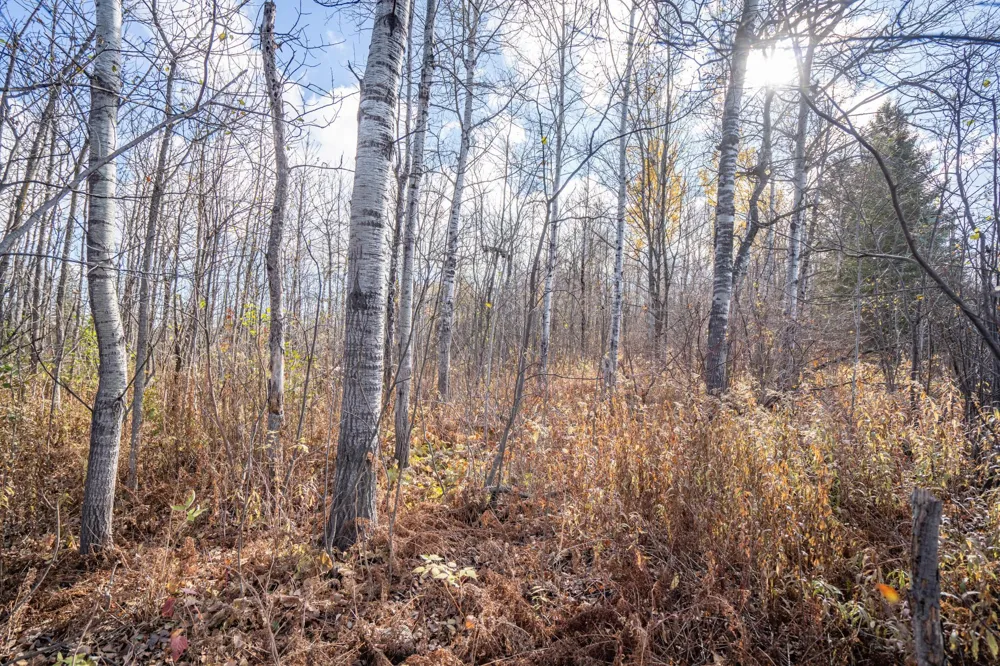 42xb Stebner Rd Hermantown, MN 55811