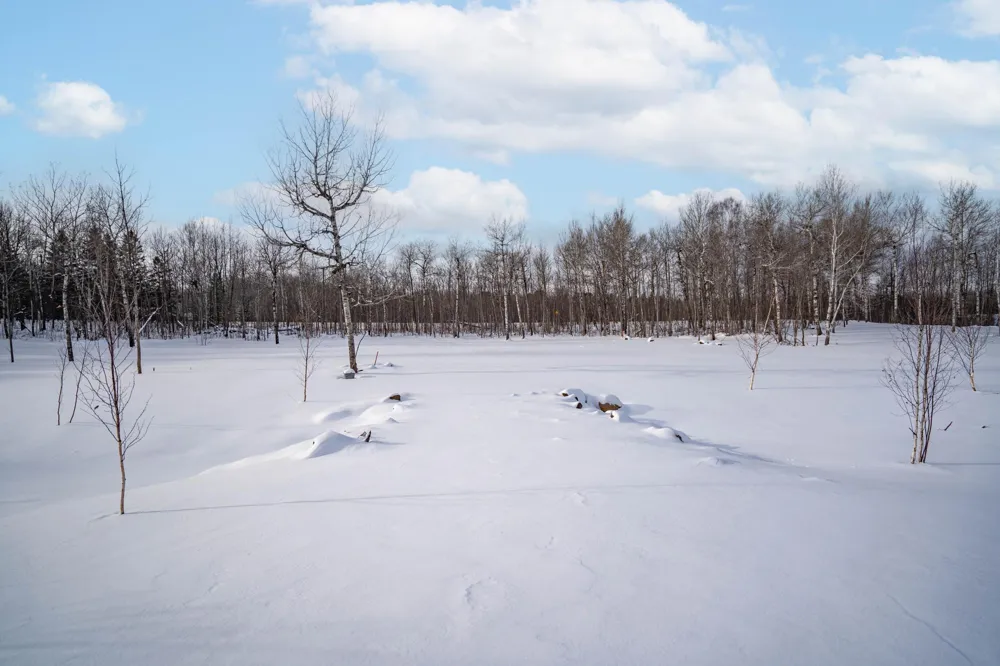 42xb Stebner Rd Hermantown, MN 55811