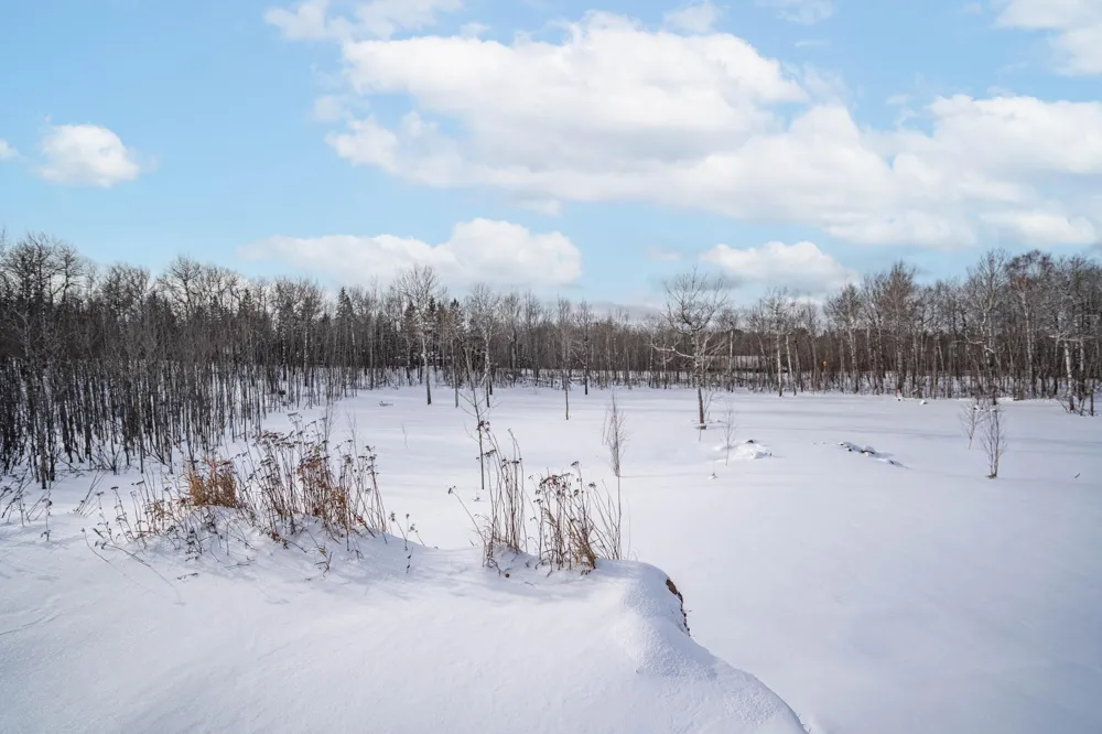 42xb Stebner Rd Hermantown, MN 55811