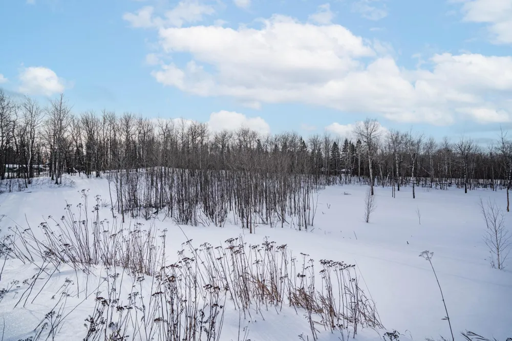 42xb Stebner Rd Hermantown, MN 55811