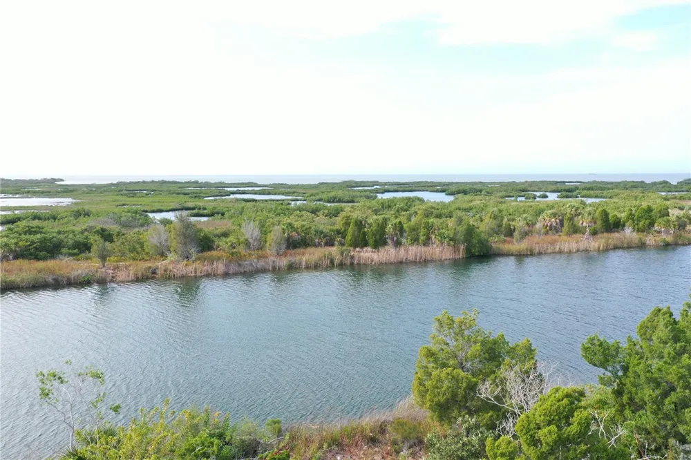 LUGUSTRUM DRIVE Hernando Beach, FL 34607