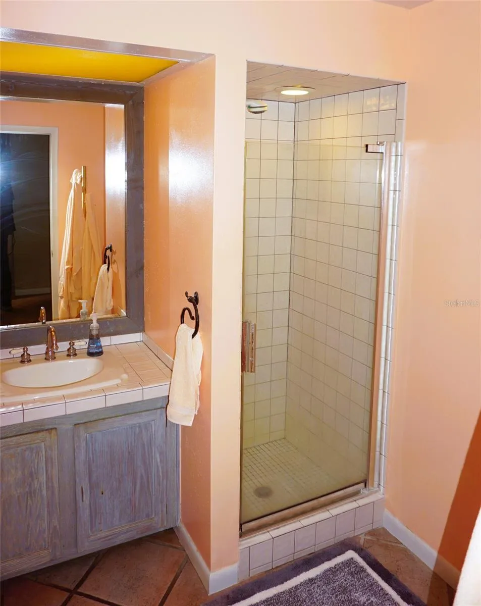 1859 MAZO MANOR #U6 Lutz, FL 33558