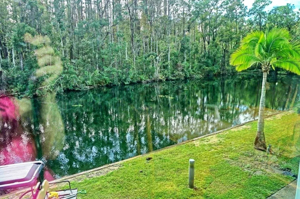 1859 MAZO MANOR #U6 Lutz, FL 33558