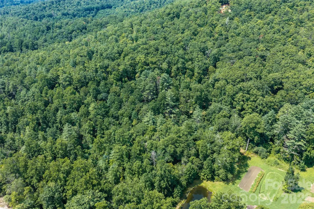 649 Old NC 280 Highway Pisgah Forest, NC 28768