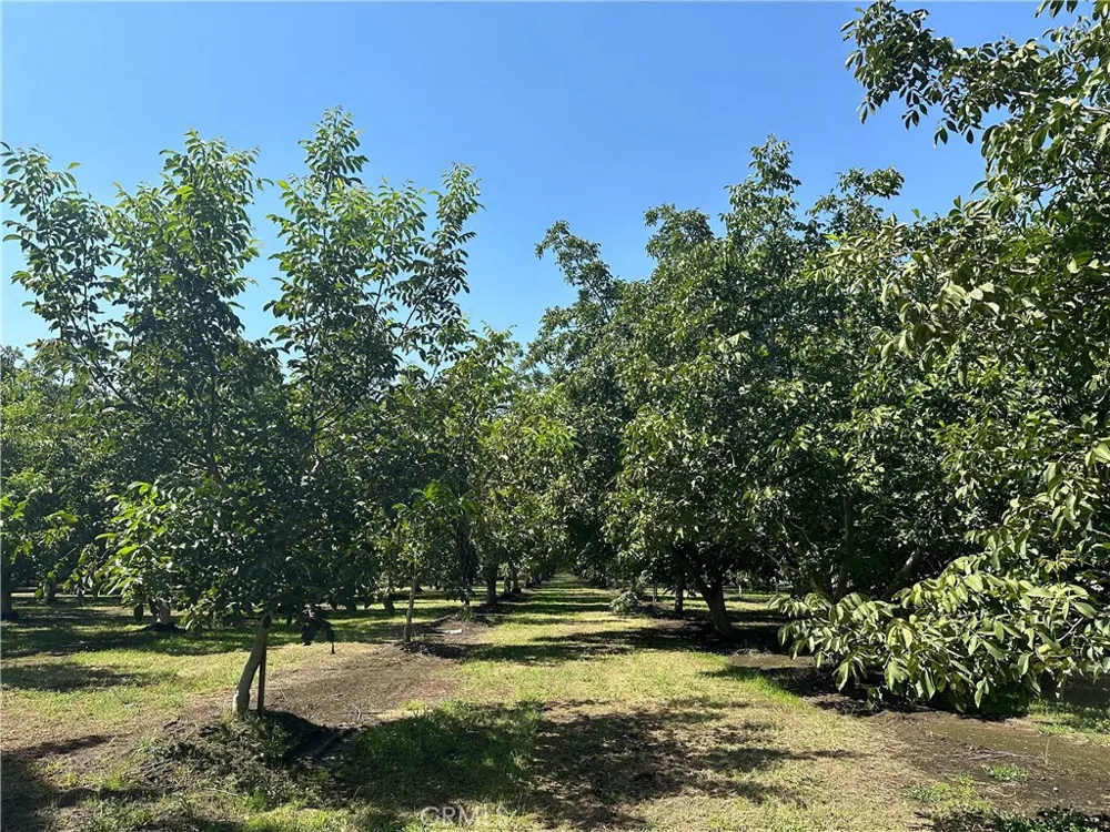 4215 Stephens Road Corning, CA 96021