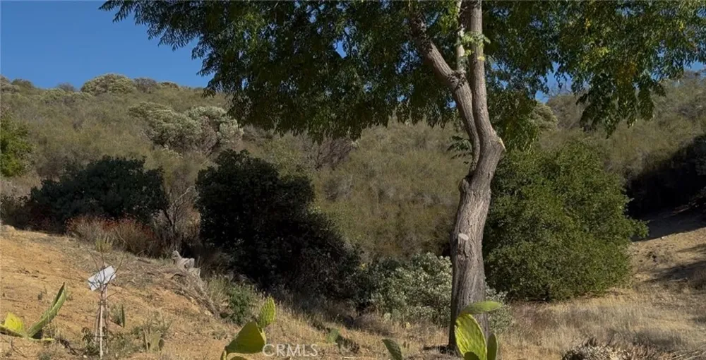 VAC/SAN FRANCISQUITO CYN Green Valley, CA 91350