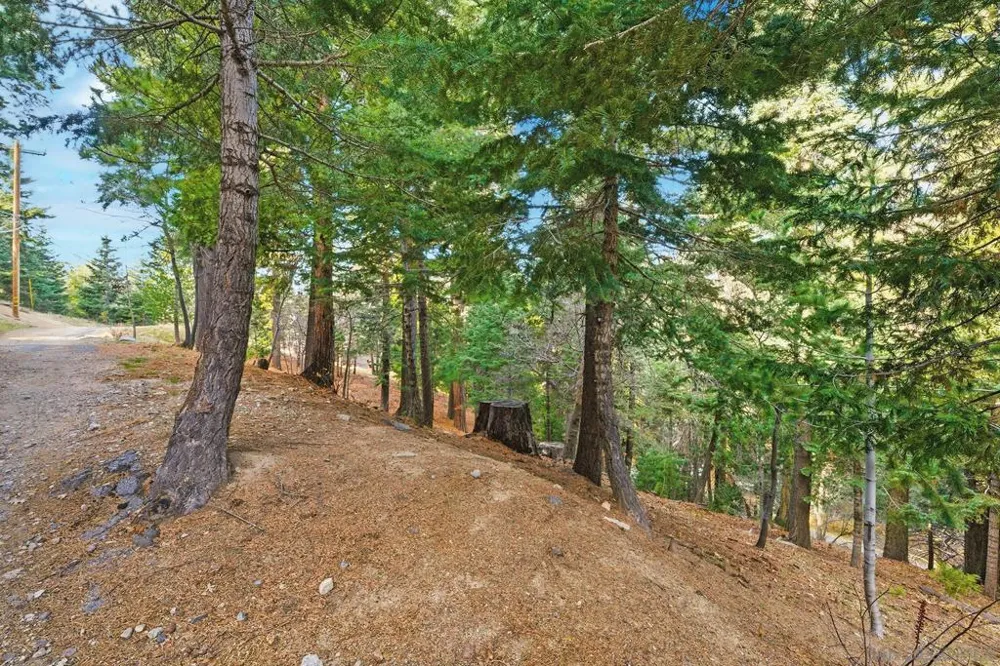 State Highway Lake Arrowhead, CA 92352