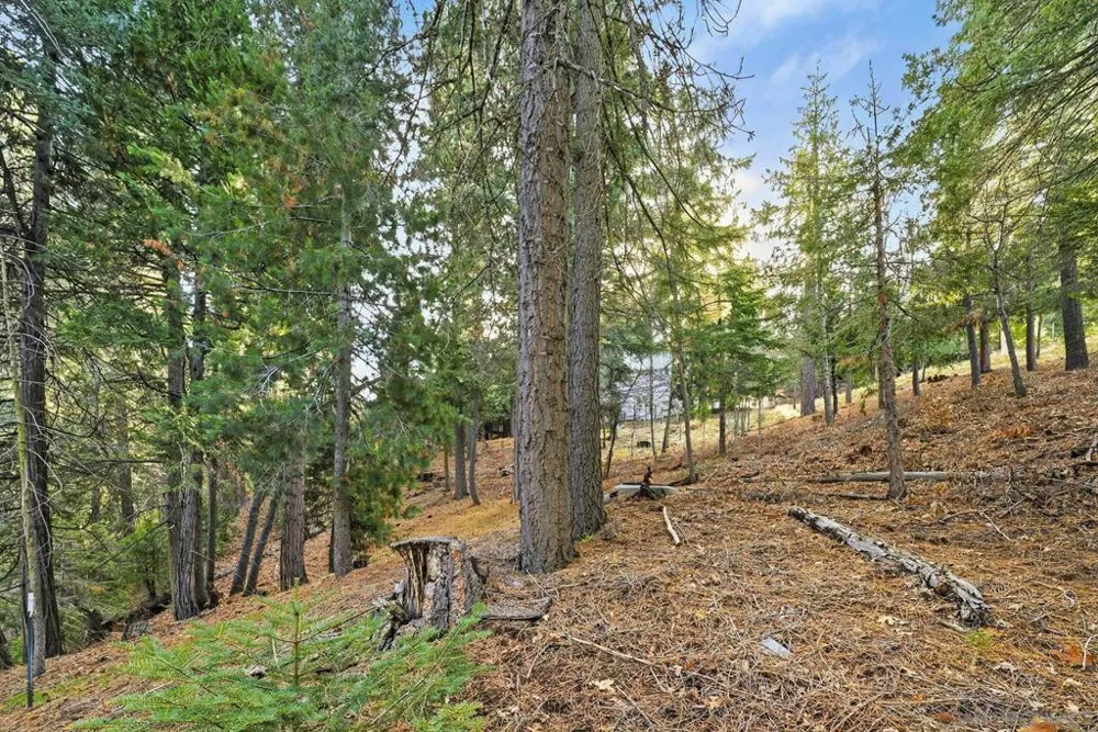 State Highway Lake Arrowhead, CA 92352