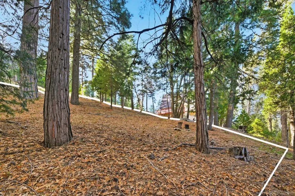 State Highway Lake Arrowhead, CA 92352