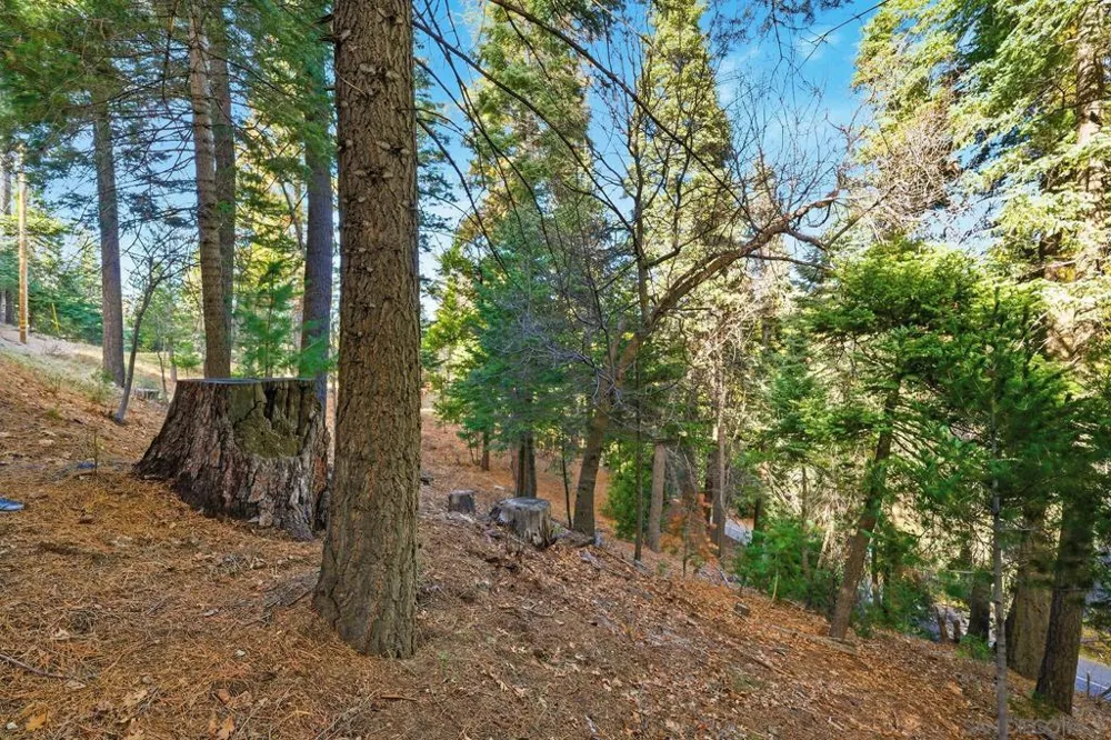 State Highway Lake Arrowhead, CA 92352