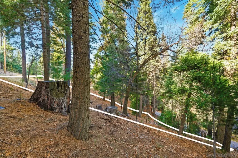State Highway Lake Arrowhead, CA 92352