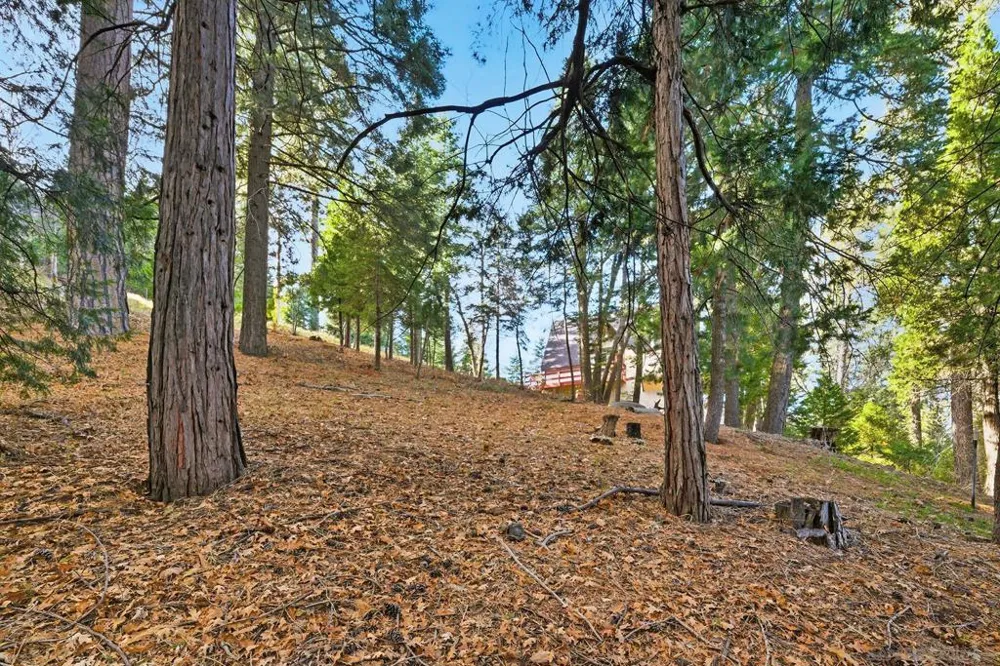 State Highway Lake Arrowhead, CA 92352