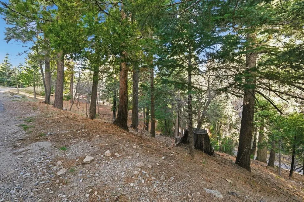 State Highway Lake Arrowhead, CA 92352