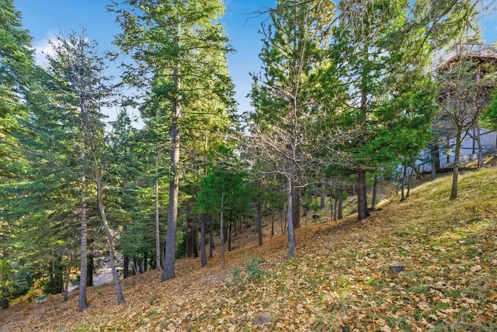 State Highway Lake Arrowhead, CA 92352