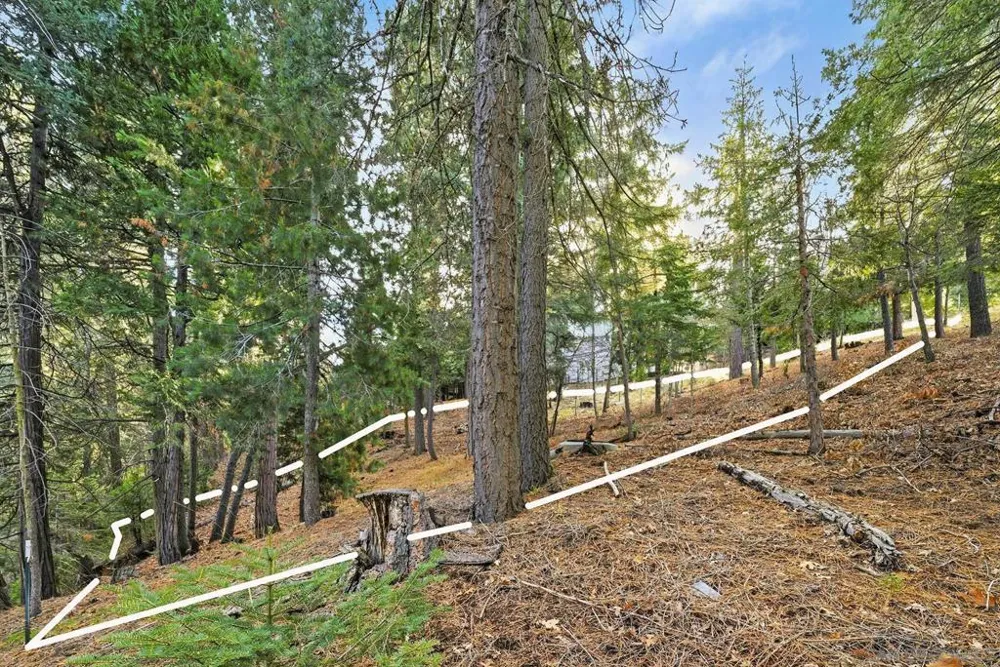 State Highway Lake Arrowhead, CA 92352