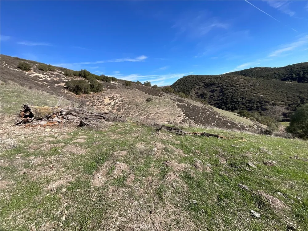 Argyle Road King City, CA 93930