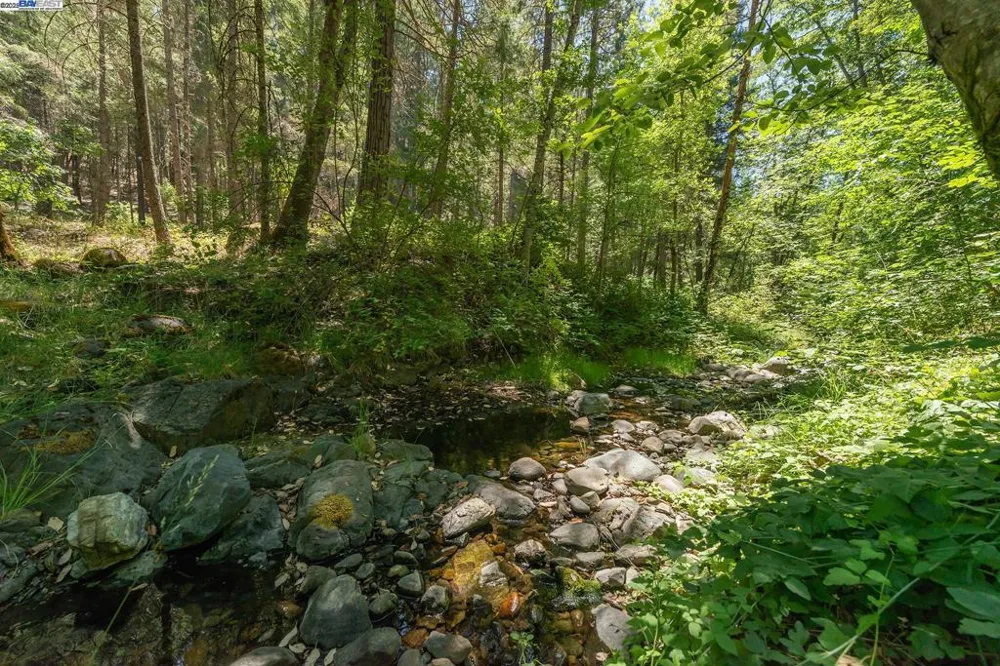 4298 Little Browns Creek Rd Weaverville, CA 96093
