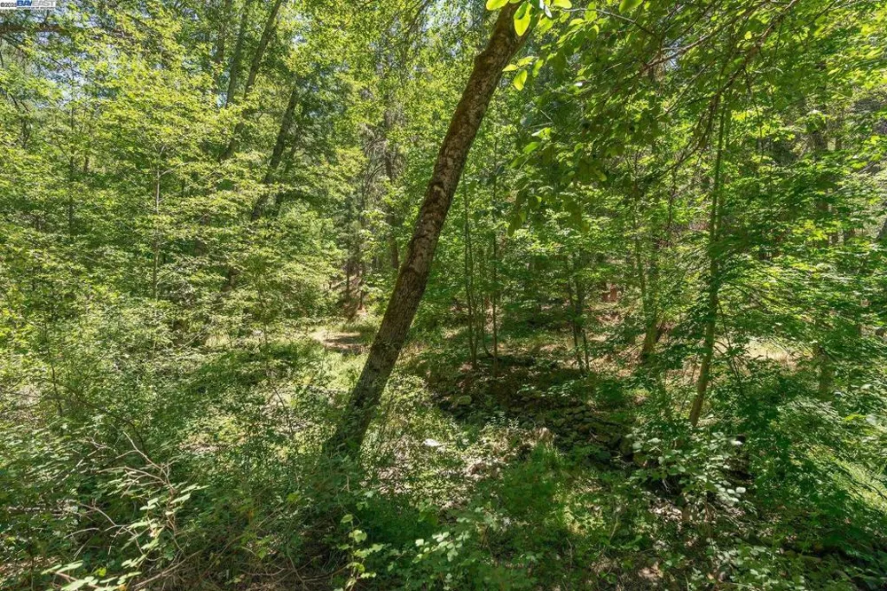 4298 Little Browns Creek Rd Weaverville, CA 96093