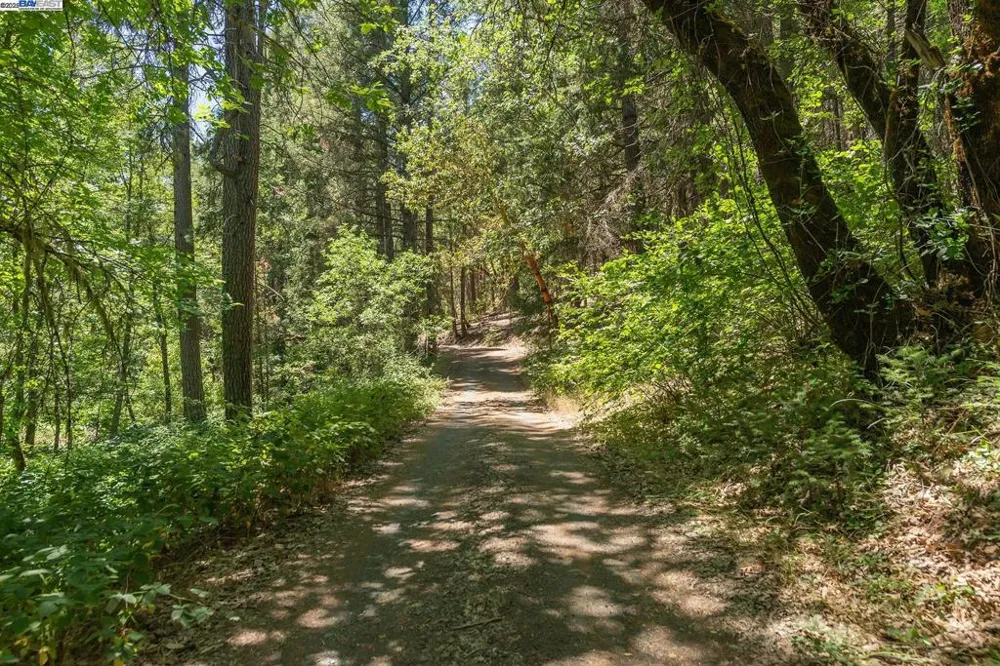 4298 Little Browns Creek Rd Weaverville, CA 96093