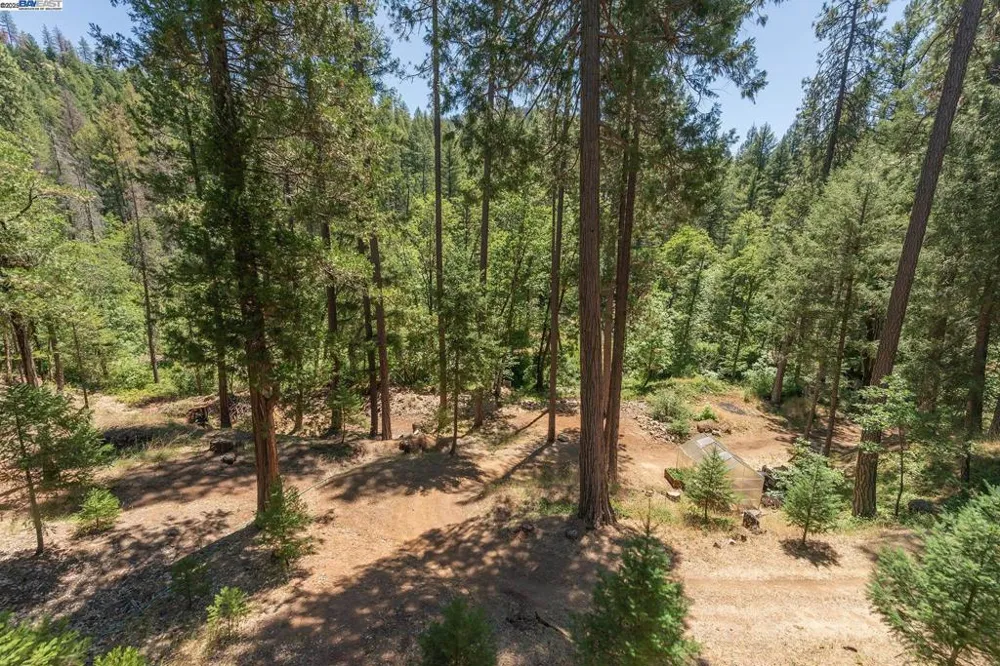 4298 Little Browns Creek Rd Weaverville, CA 96093