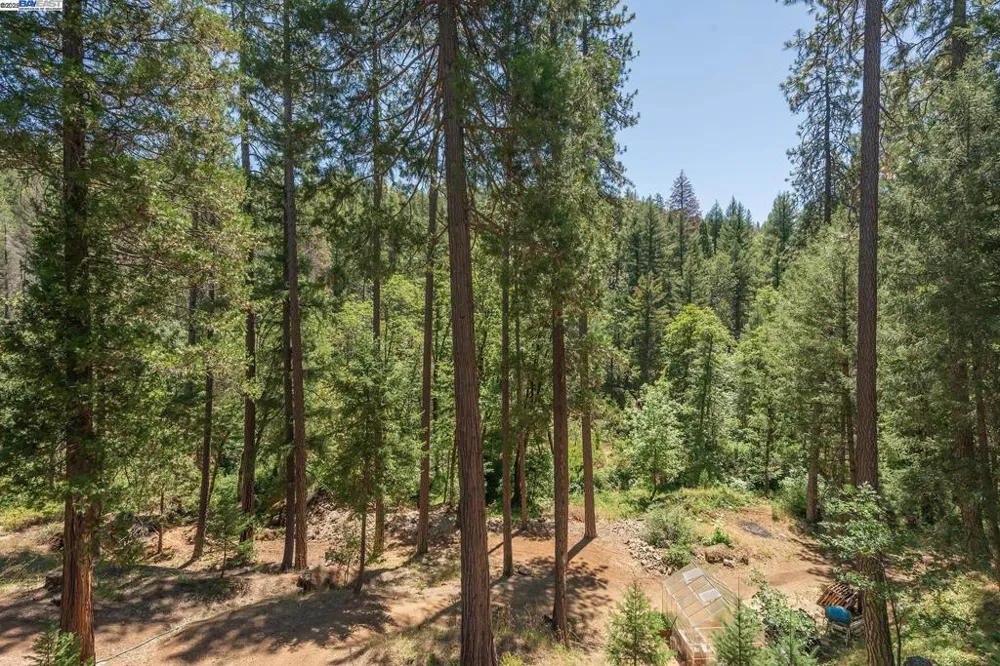 4298 Little Browns Creek Rd Weaverville, CA 96093