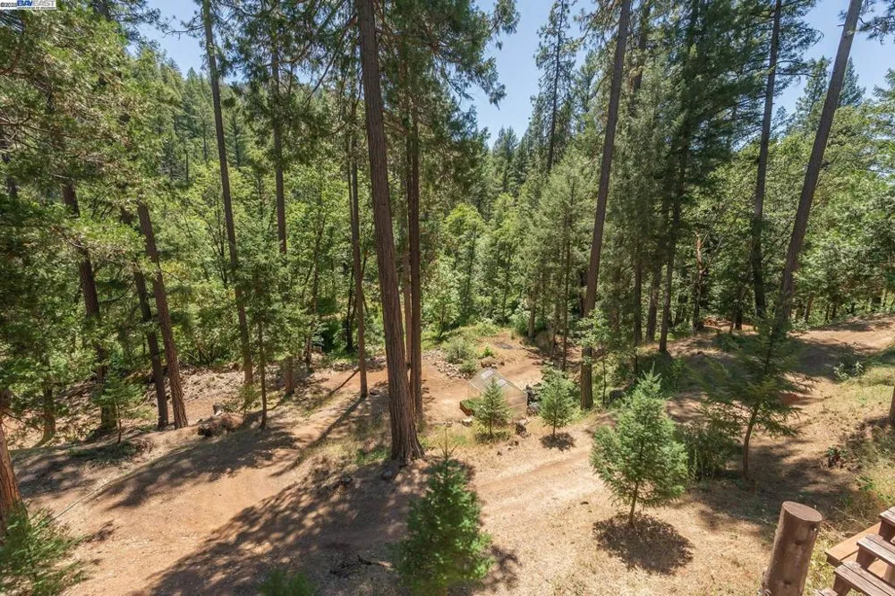 4298 Little Browns Creek Rd Weaverville, CA 96093