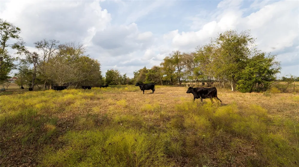 4646 Fm 2679 Road Burton, TX 77835