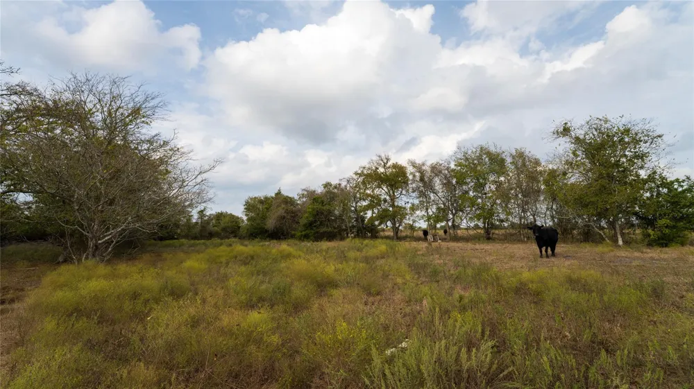 4646 Fm 2679 Road Burton, TX 77835