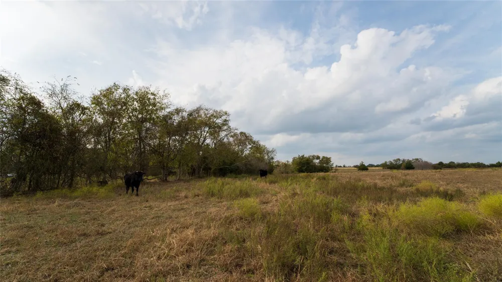 4646 Fm 2679 Road Burton, TX 77835