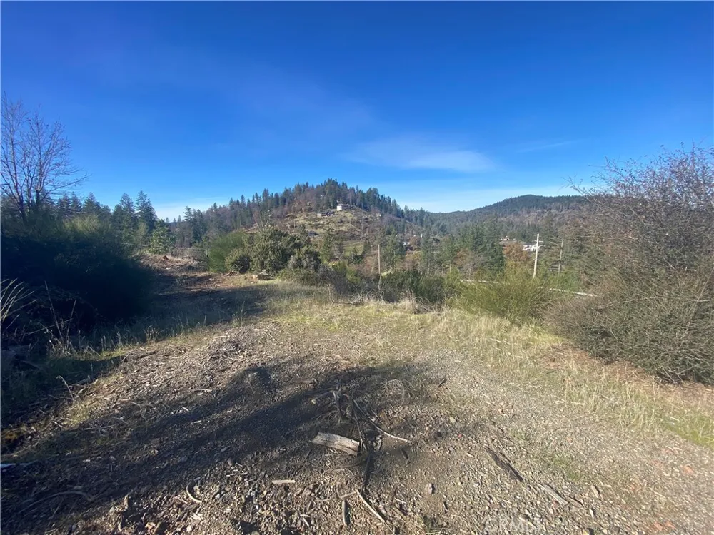 14733 Dove Drive Cobb, CA 95426