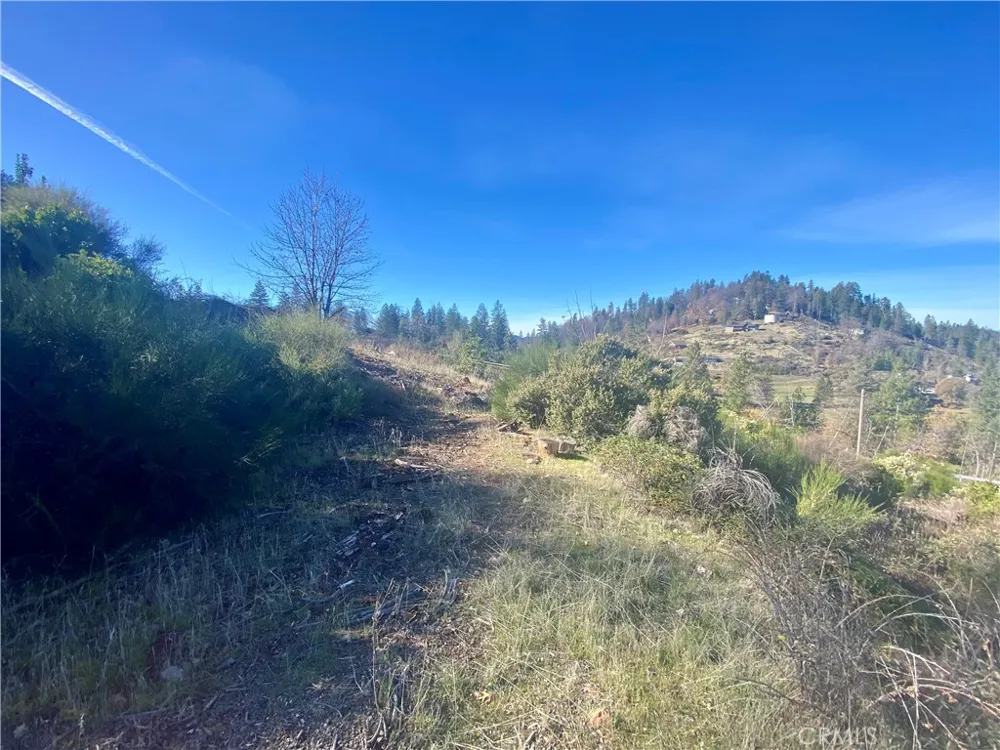 14733 Dove Drive Cobb, CA 95426