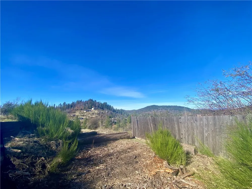 14733 Dove Drive Cobb, CA 95426
