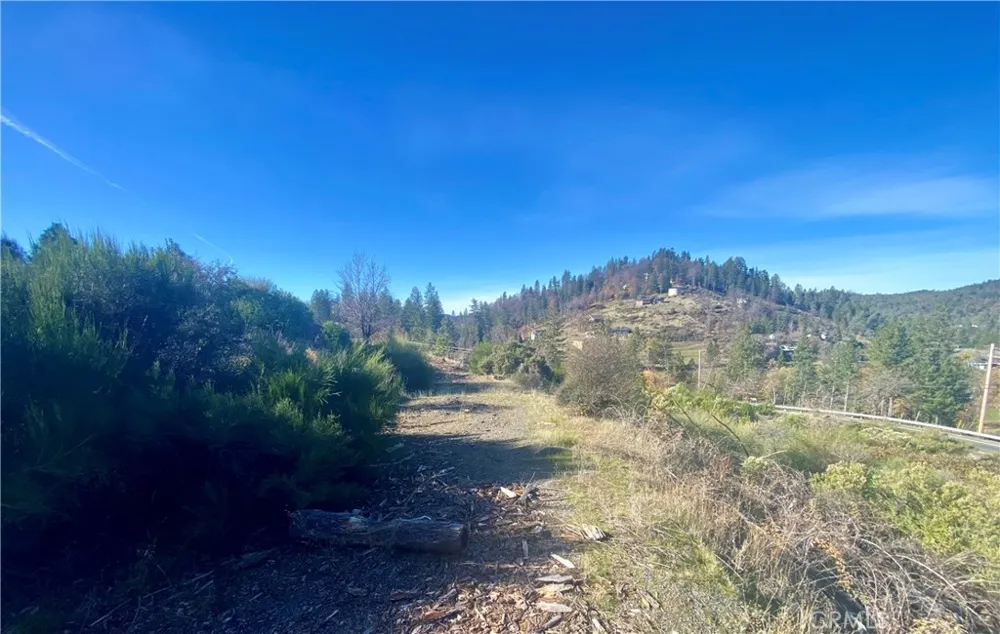 14733 Dove Drive Cobb, CA 95426