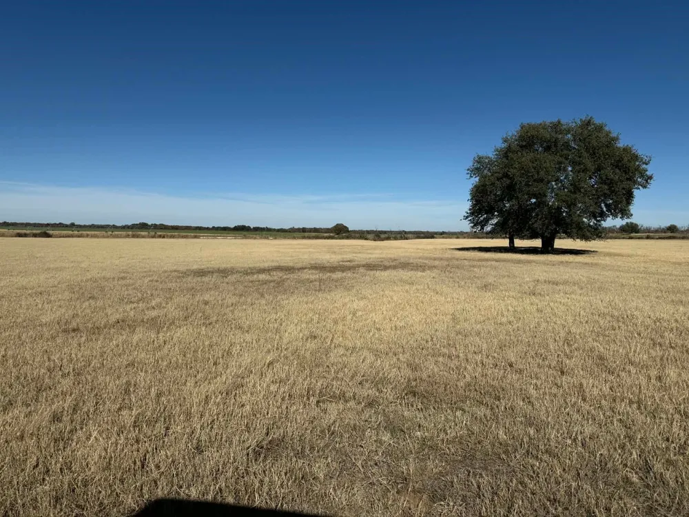 County Road 436 Rising Star, TX 76471