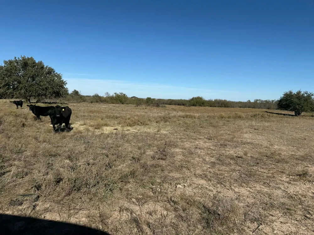 County Road 436 Rising Star, TX 76471