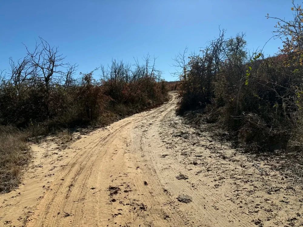 County Road 436 Rising Star, TX 76471