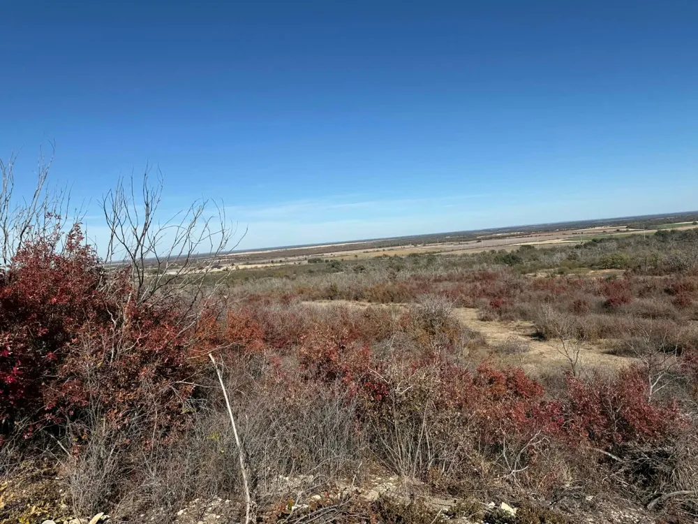 County Road 436 Rising Star, TX 76471