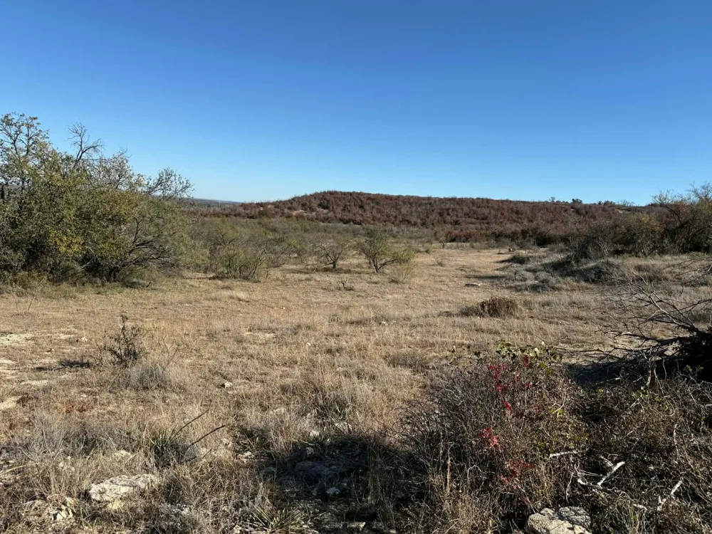 County Road 436 Rising Star, TX 76471
