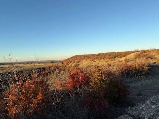 County Road 436 Rising Star, TX 76471