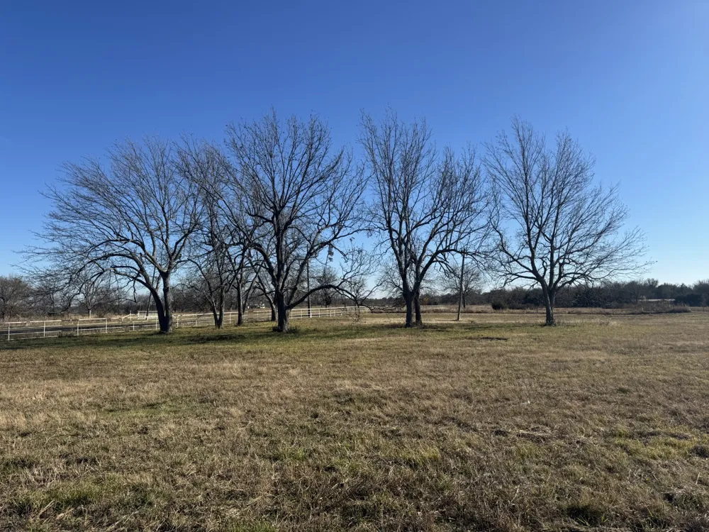 FM 2675 Roxton, TX 75477
