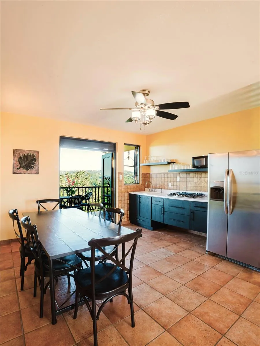 CARR. 414 KM 1.8 INT THE TERRACES Rincon, PR 00677